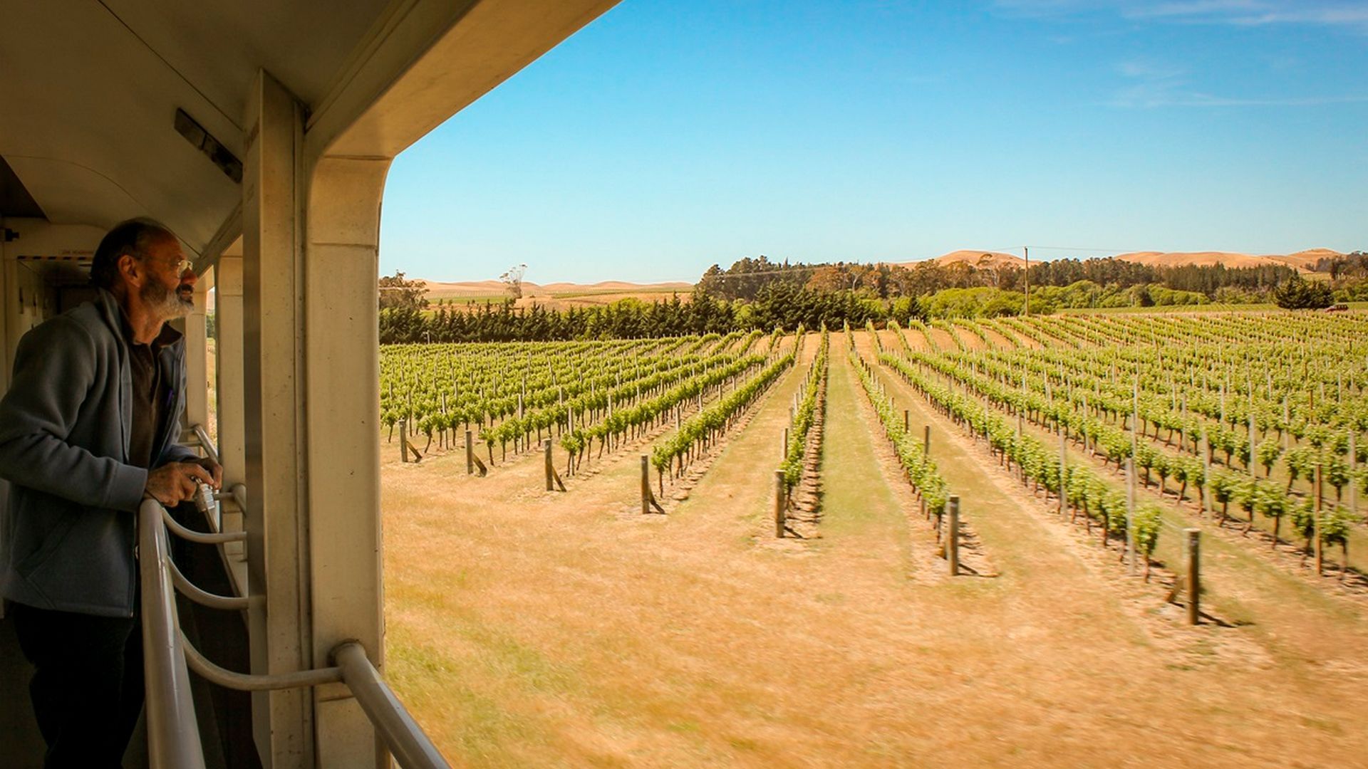 Take a look around New Zealand Kiwiway Providing the best tours NZ