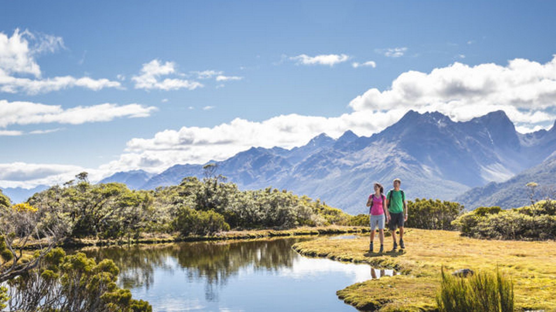 New Zealand Seasons. Climate seasons