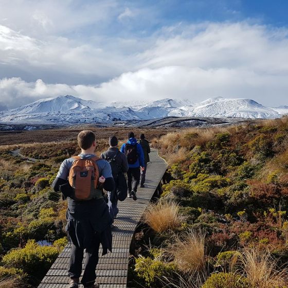1 Day Tongariro Crossing Guided Walk