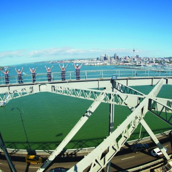 Auckland Bridge Climb & Bungy Combo