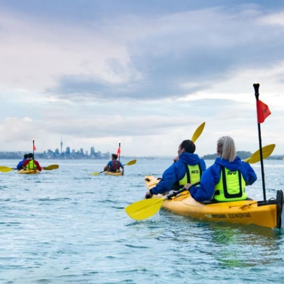 Half Day Kayak Tour to Motukorea | Browns Island