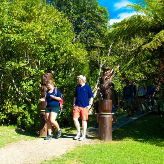 Day Walk: Furneaux Lodge to Punga Cove
