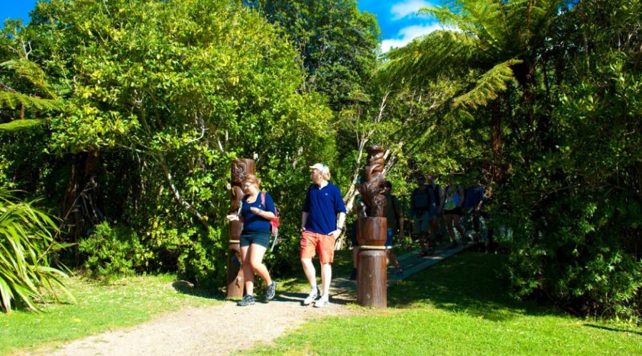 Furneaux Lodge to Punga Cove
