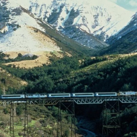 Arthurs Pass Day Tour incl Train & Farm Tour