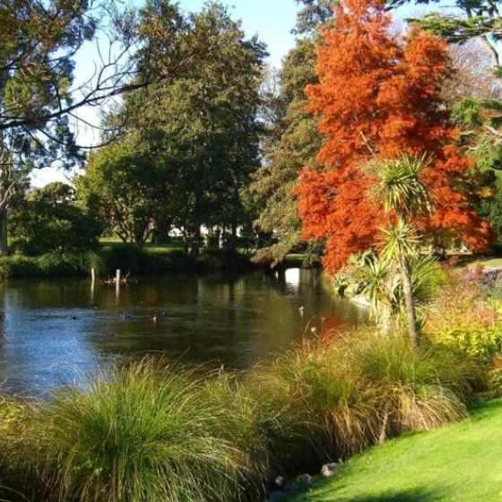 Christchurch Sightseeing Morning Tour
