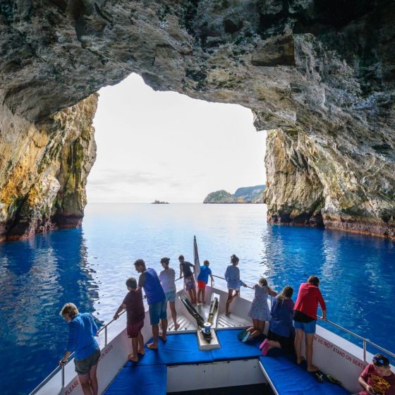 Perfect Day Ocean Cruise
