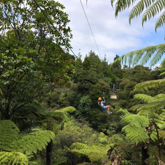 Coromandel Zipline Tour