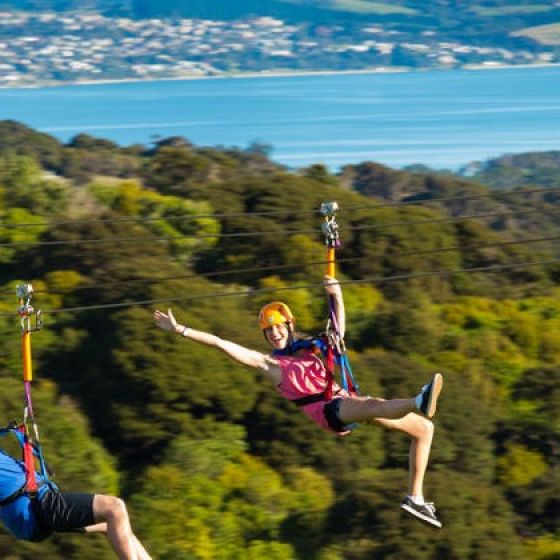 EcoZip Zipline and Native Forest Tour