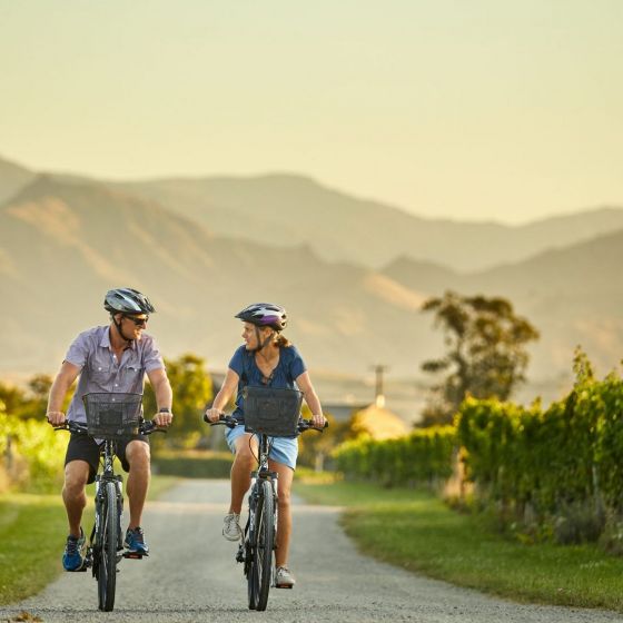 Full Day Self-Guided Biking Wine Tour