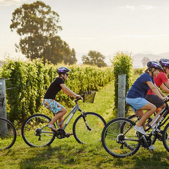 Half Day Guided Biking Wine Tour