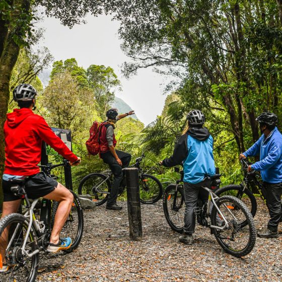Fox Glacier Valley E-Bike and Hike