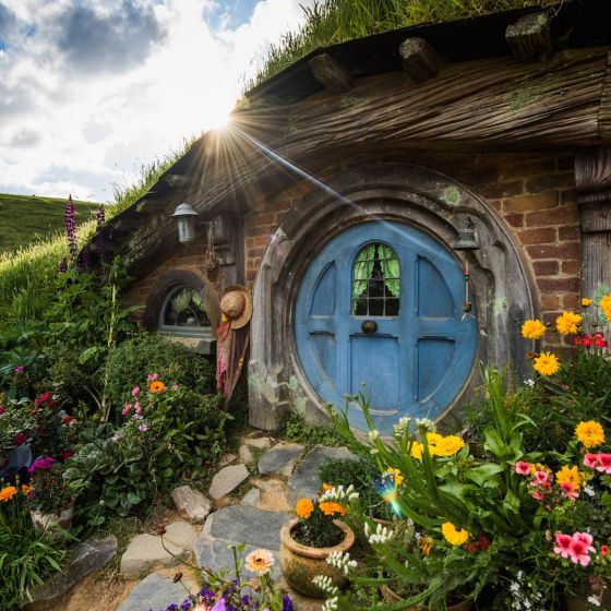 Hobbiton Movie Set Tour