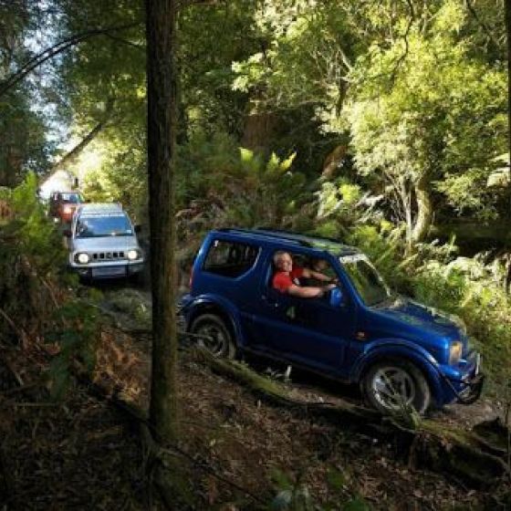 4WD Bush Safari