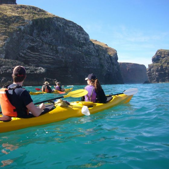 Sea Kayaking Safari