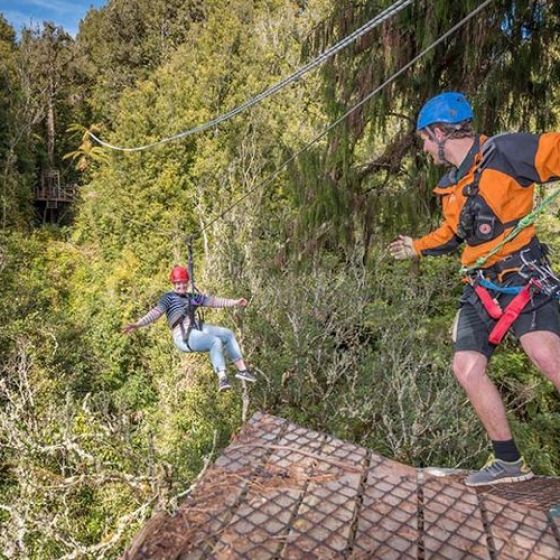 The Original Canopy Tour