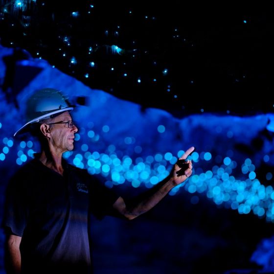 Spellbound Glowworm and Cave Explorer