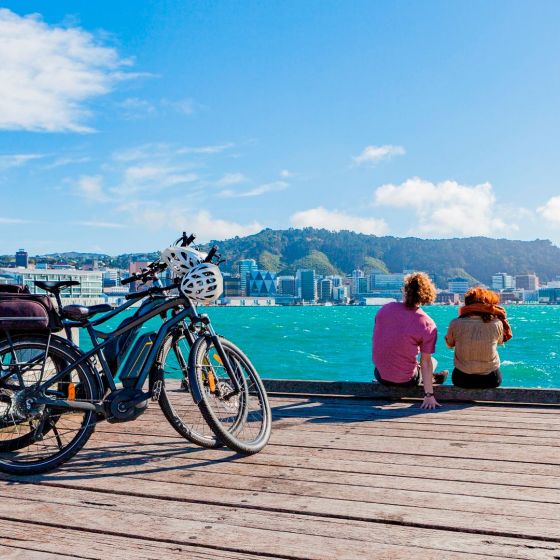 Electric Bays - Guided e-BikeTour