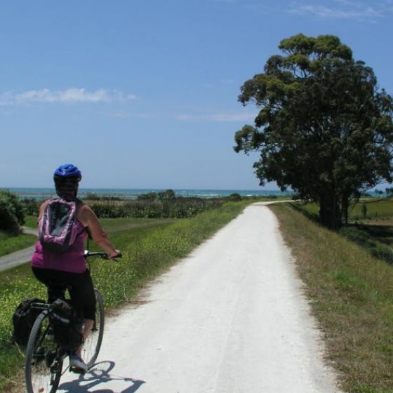 Cape Coast Winery Self Guided Cycle Tour