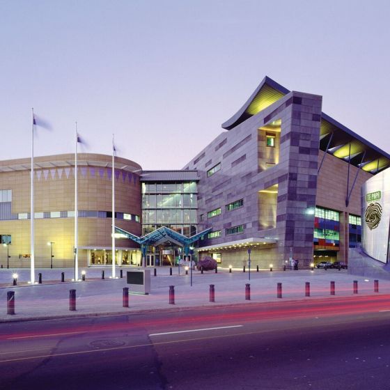 Te Papa Museum Entry