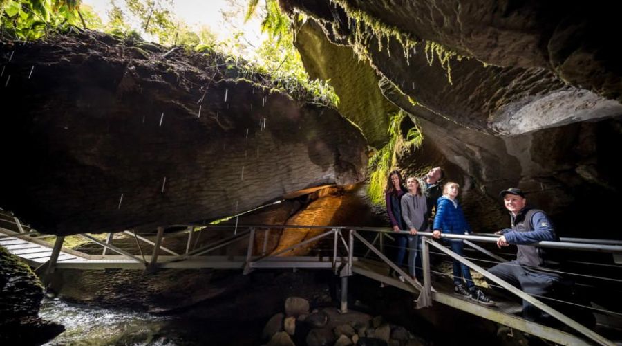 Te Anau Glowworm Caves Tour