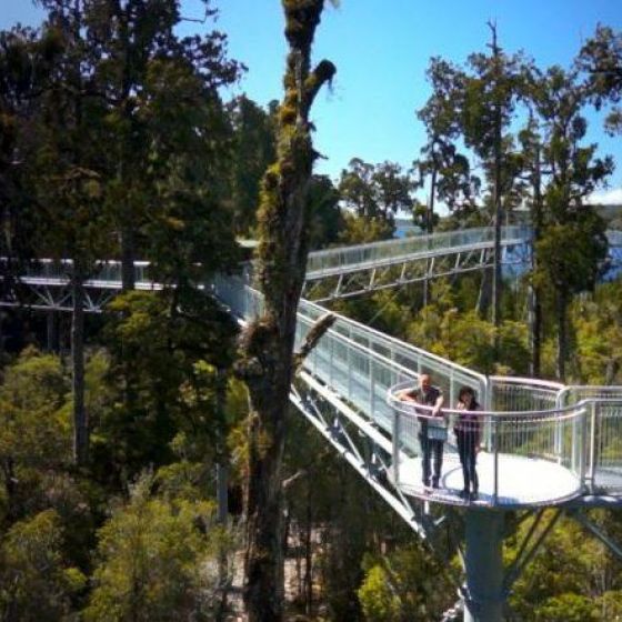 Westcoast Treetop Walkway