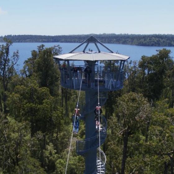 Zipline and Walk Combo
