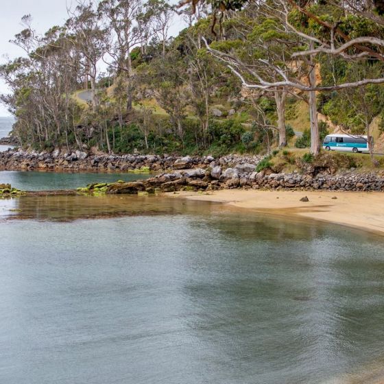 Rakiura Village & Bays Tour