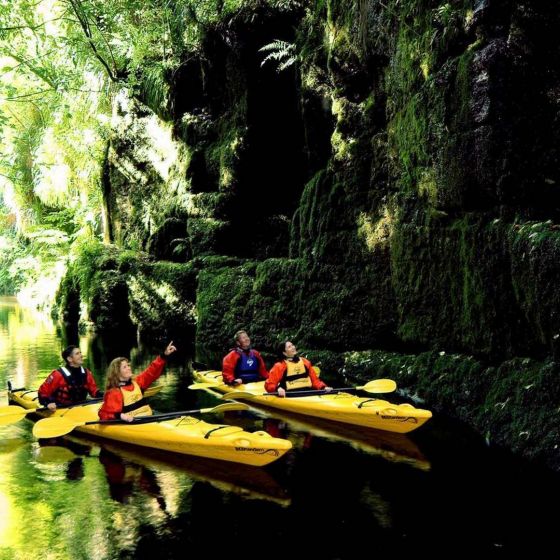 Evening Glowworm Kayak Tour