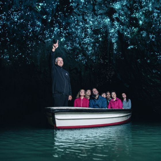 Waitomo Glowworm Caves Guided Tour