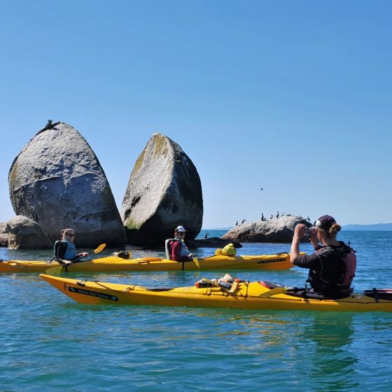Split Apple Paddle (Kayak 2hrs) - ex Kaiteriteri