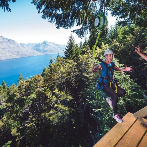 Ziptrek Kereru 2-Line + Drop